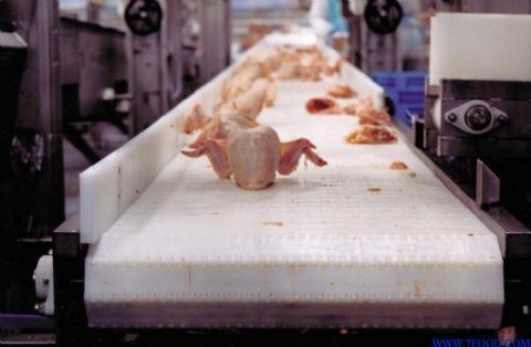                  Inclined PVC Belt Conveyor with Skirt Side             