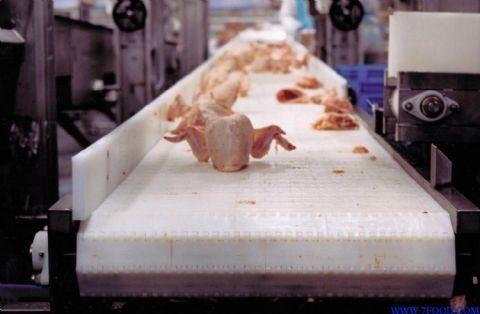                  Long Service Life Gravity Skatewheel Conveyor for Warehouse and Storage             