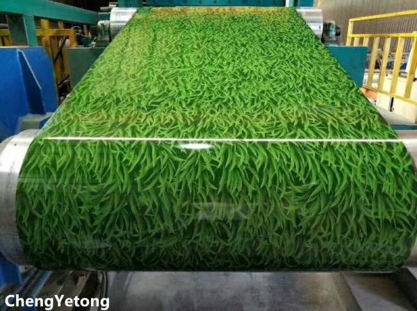 PE Coating Color Coated Steel Coil Customized Pattern Printing Width 700-1600MM