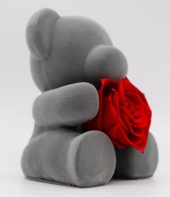 Querido Rose Bear Never Wilting Flowers eterno que representa o amor duradouro
