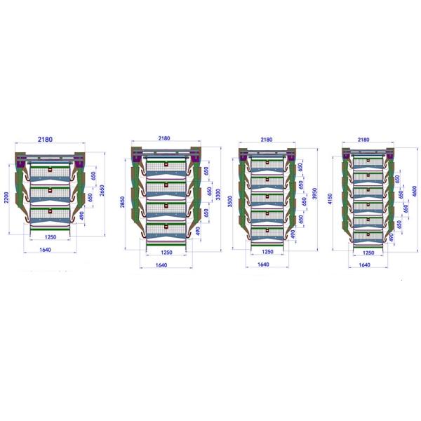 0.75kw Auto Feeding Layer Chicken Cage 54-384 Birds For Husbandry