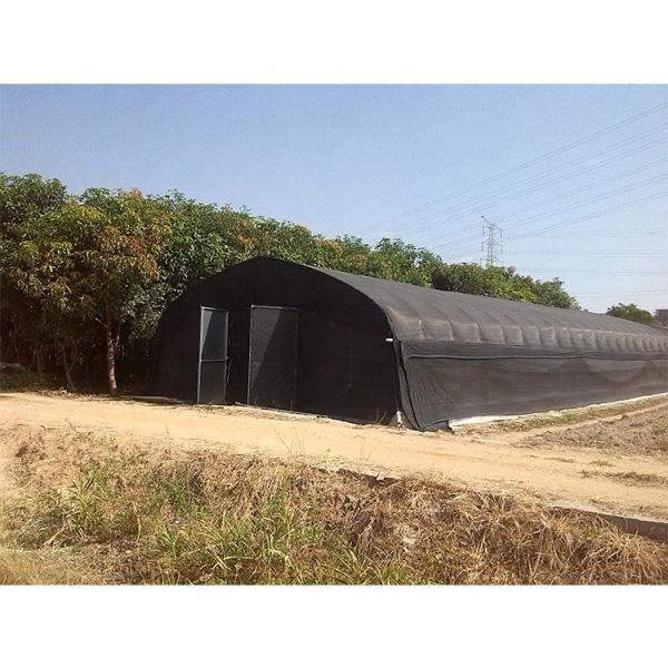 Film Type Mushroom Growing Greenhouse Customizable With High Shoulder Height