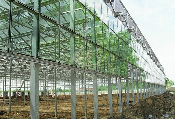Customizable 4mm Toughened Glass Lightweight Greenhouse Glass Panel 300*300mm