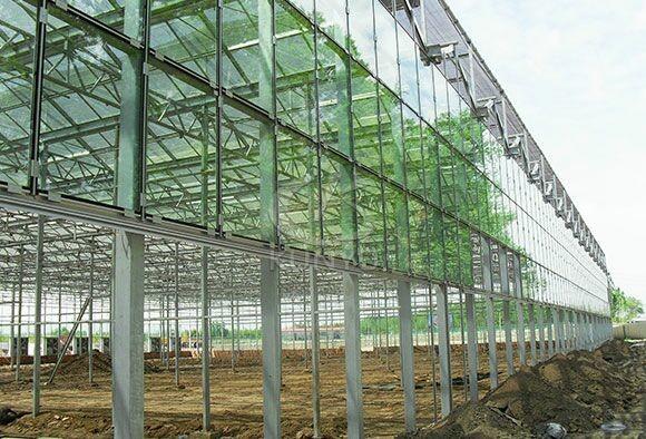 4mm Toughened Glass for  Vegetable Plants Growing Greenhouse