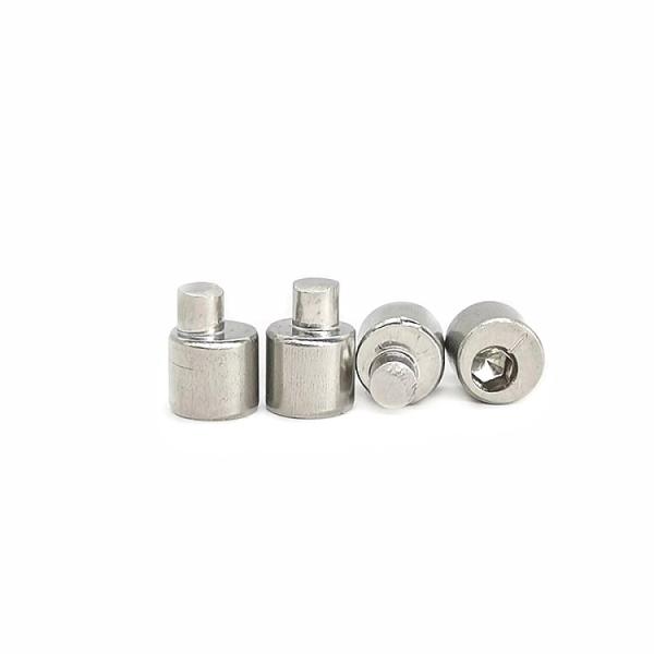 O parafuso de ajuste excêntrico de aço inoxidável 4.9X13 do padrão do GB lustrou o material SUS304