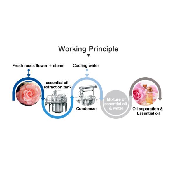 оборудование извлечения травы масла экстрактора CBD центрифуги биомассы пара 280kg/H