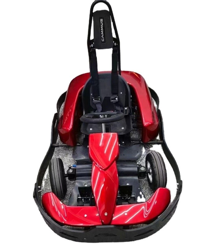 крытые электрические 3000W идут Karts на 8 год - доказательство столкновения olds