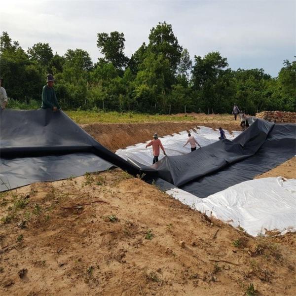 Fish Farm Pond Dam Landfill Liner HDPE Geomembrane 0.5mm 0.75mm 1.0mm 1.5mm 2.0mm 3.0mm