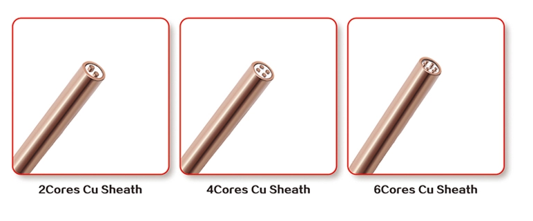 Ядри ISO9001 2 печатают n SS304 0.5mm изолированный кабель MI минеральный