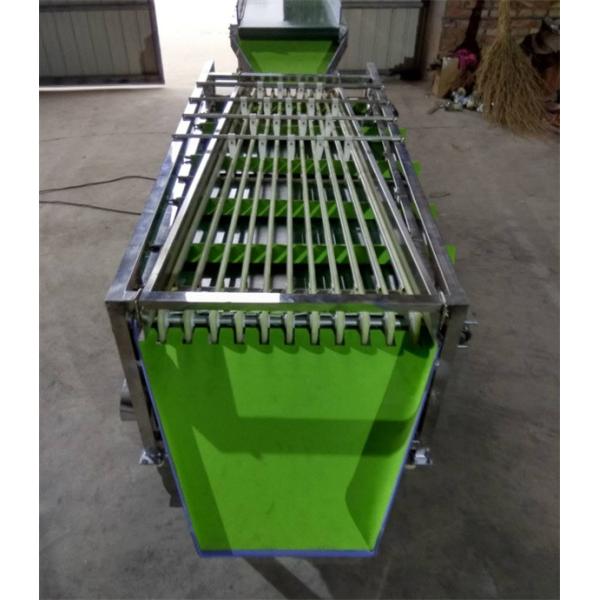 olive sorting machine, cherry tomato grading machine, dates sorting machine