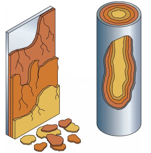 Механический испаритель MVR наддува пара