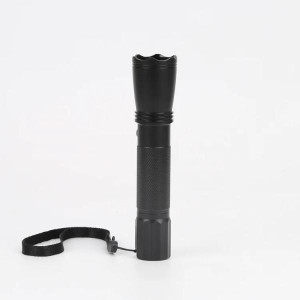 FT3W IP66 Waterproof 3W High Brightness LED Flashlight with 2200mAh Battery for Industrial Use