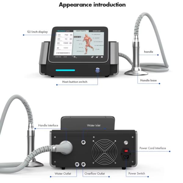 Pain Relief Muscle Bone Tissue Regeneration Treatment Extracorporeal Shockwave Machine
