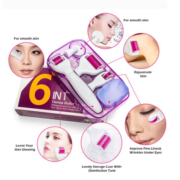 Derma Rolling System and Needle Material Stainless Steel / Titanium 6 In 1 Derma Roller