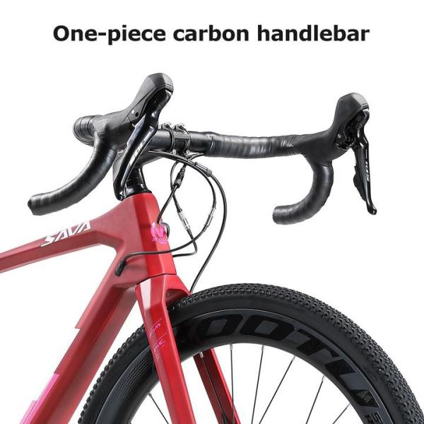 Carbon Fibre SAVA Gravel Bike 160kg Load Capacity With Free Pedals