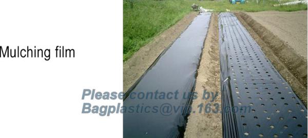 PE Mulching film, pe film, horticultural mulch film, garden perforated ground film, sheet, mulching films, agricultural