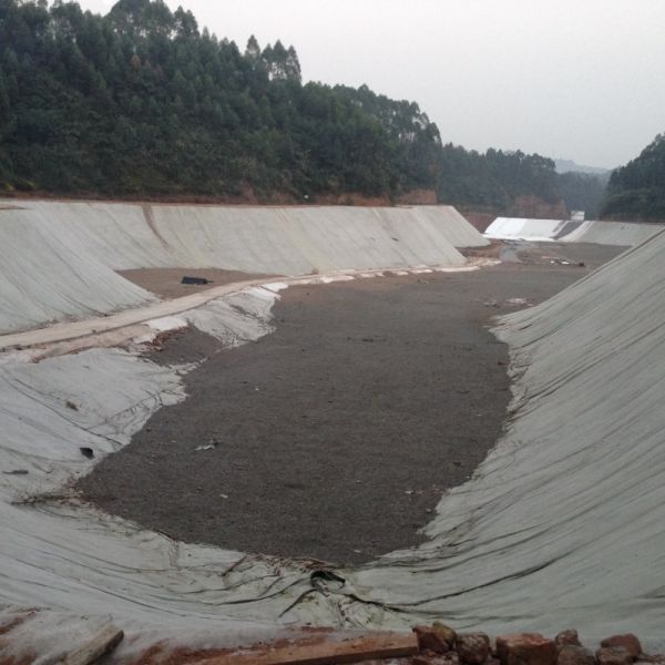 Waterproofing Geo Membrane Construction 0.5mm Hdpe Geomembrane Pond Liner