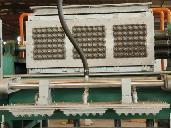 Máquina de papel giratória de Tray Making Machine Egg Tray do ovo para as caixas de papel do ovo que fabricam 1200pcs/H a 2500pcs/H