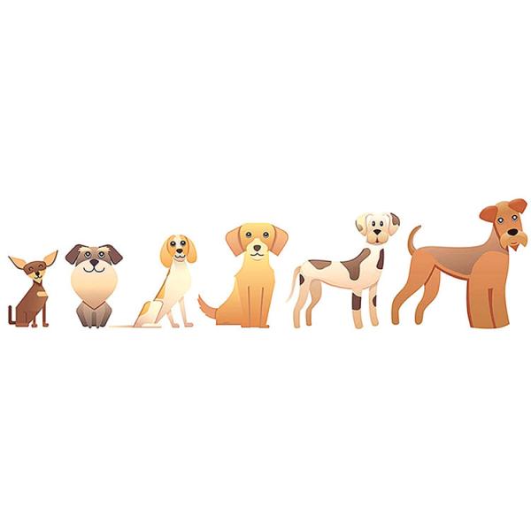 Neoprene Padded Pet Traction Rope Reflective Nylon Pet Dog Leash