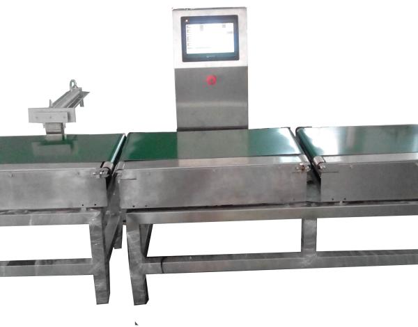 High Accuracy Conveyor Weight Checker Stainless Steel For Food Industrial