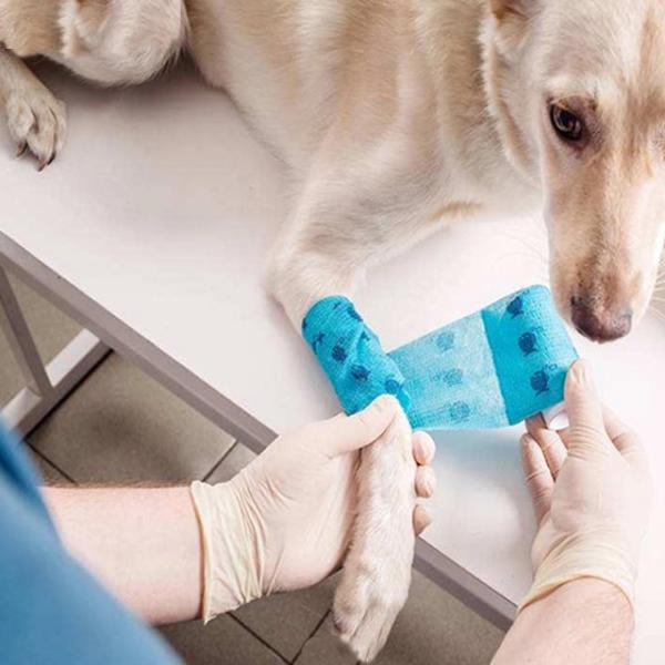 Bulk Wholesale Custom Size Medical Supplies Non Woven Easy Tear Self Adhesive Vet Wrap Cohesive Elastic Bandage