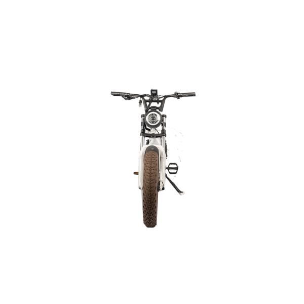 Retro Vintage E-Bike with 500W Bafang Rear Hub Motor Electric Bike OEM Wholesales Bike