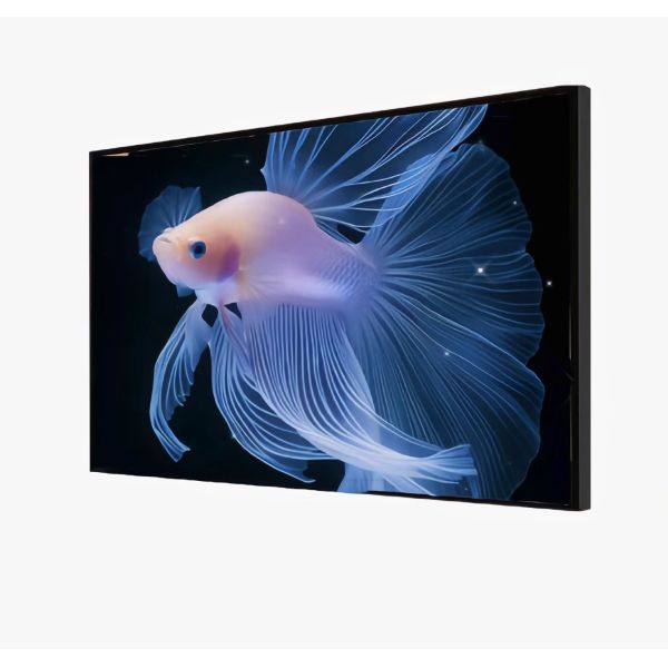 2026 MJK 18.5 Inch LCD Digital Price Display with Text CMS Indoor Supermarket Anti-tampering Solution 1 Year Warranty