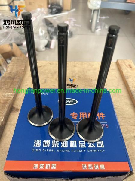 Marine Engine Accessories Z6170.1-44C/45 Inlet and Exhaust Valve for Zichai 6170/8170