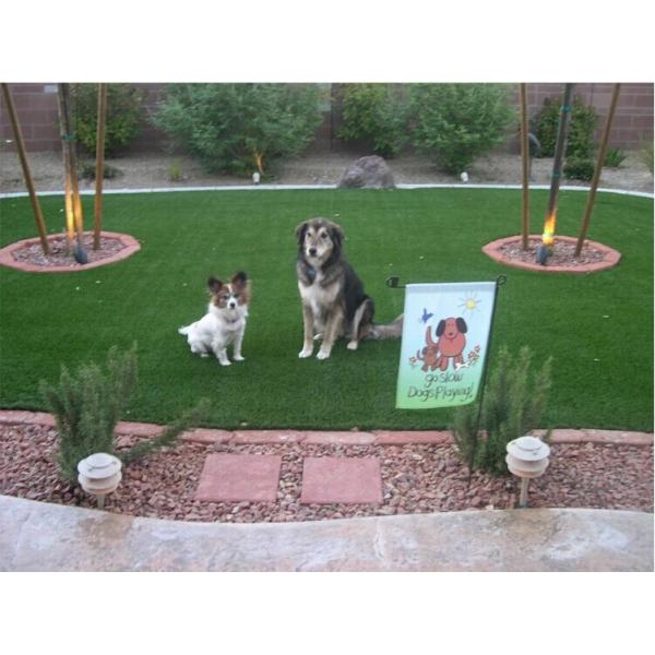 Artificial turf golf greens grass, fake turf