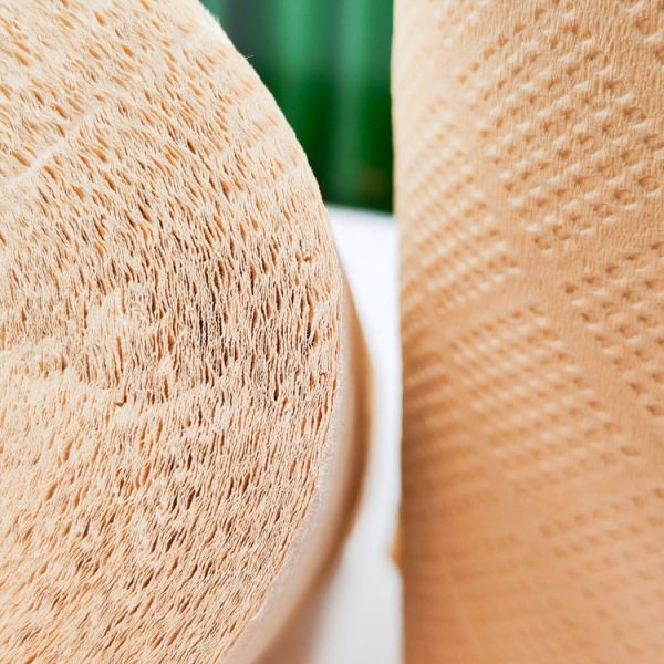 Bamboo Soft Organic Eco Friendly Certified OEM Custom Cheap 4 3 2 Ply Bamboo Toilet Tissue Paper Rolls Toilet Paper