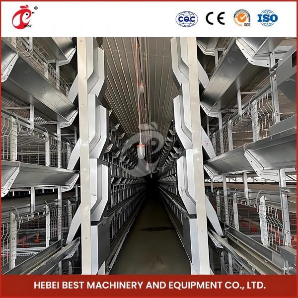 High Precision Automatic Broiler Chicken Cage H Type Poultry Broiler Cage Rose