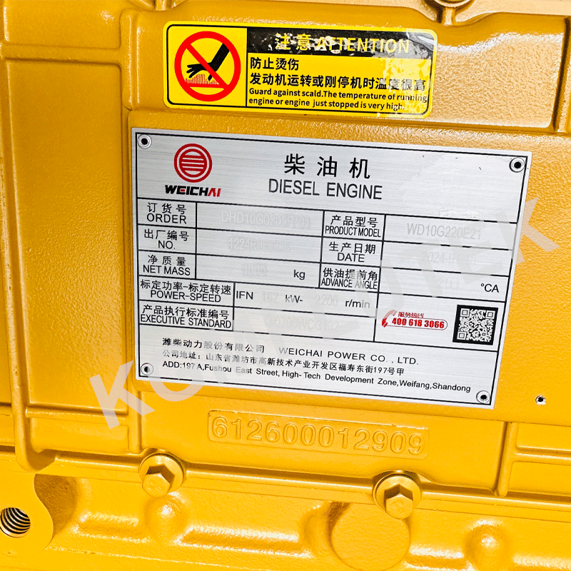 WD10G220 WD10 Оригинальный двигатель WEICHAI Assy для колесных погрузчиков Zl50