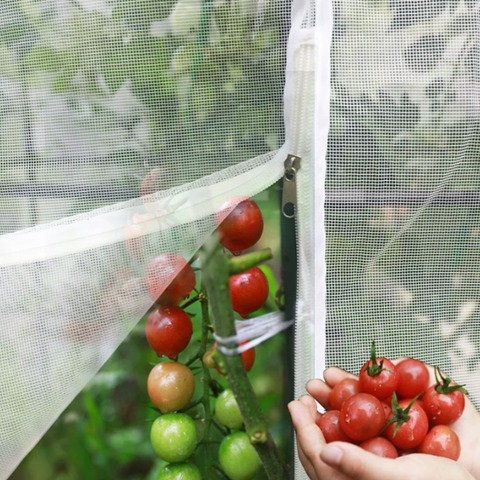 Heavy Duty Insect Screen Custom Width Length Mesh For Greenhouse Anti Bug Plant Cover Net