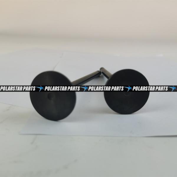 6LTAA9.3 Intake Valve Exhaust Valve 6L ISLe QSL8.9 QSL9 L9.3 3942589 3942588