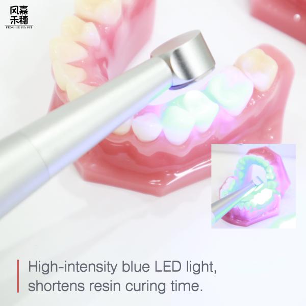 Dental Light Curing Unit High Power LED for Fast & Even Resin Curing 1
