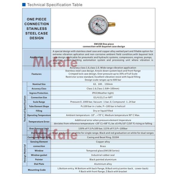 G1 / 4 жидкость манометра Г1/2 цифров жидкостная заполнила датчик ИП65 давления масла