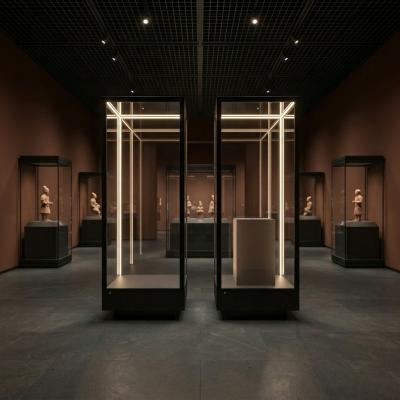 Glass Panel Metal Frame Freestanding Display Cabinet Museum Display Cabinet With LED Lamp
