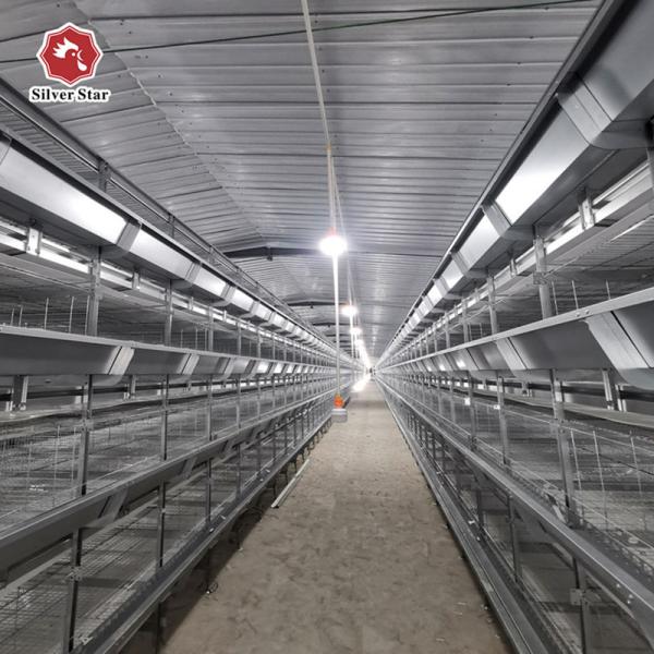 Type automatique des rangées H des rangées 4 de l'équipement 3 de cages de volaille de grilleur