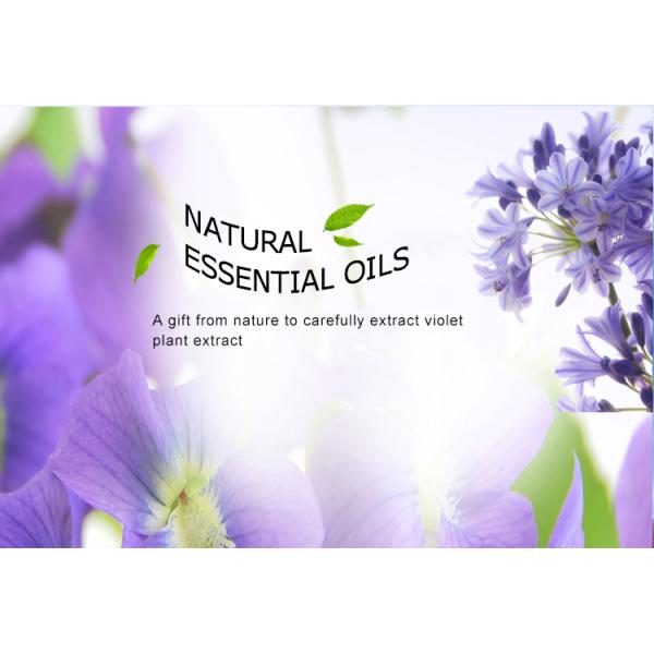Sheraton Violet Fragrance Oil , Pure Violet Oil Light Yellow Liquid Appearance