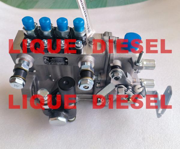 Diesel Pump BH4QT95R9 kangda pump