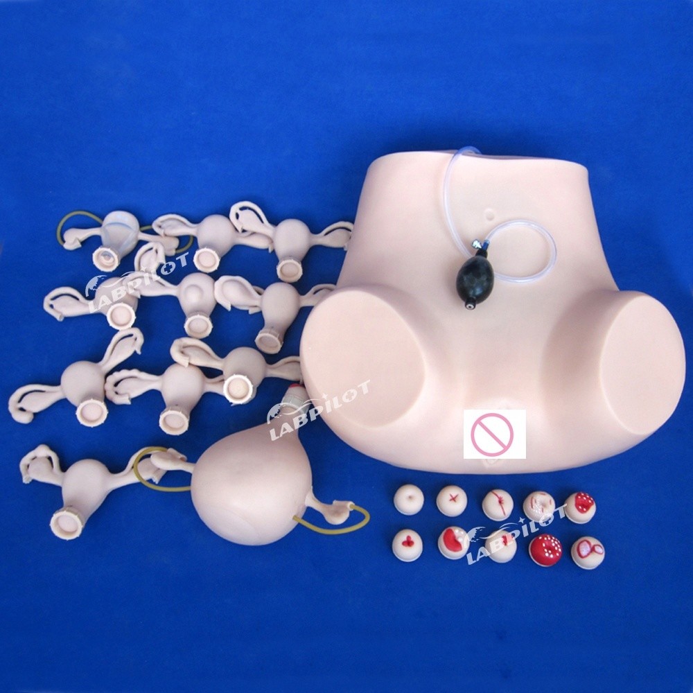 PVC Palpation Gynecological Examination Training Manikin with Contraception Function