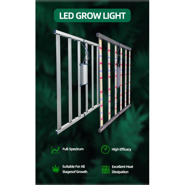 Luz de cultivo de LED de espectro completo 720W Luz de planta Plantas de interior apagables