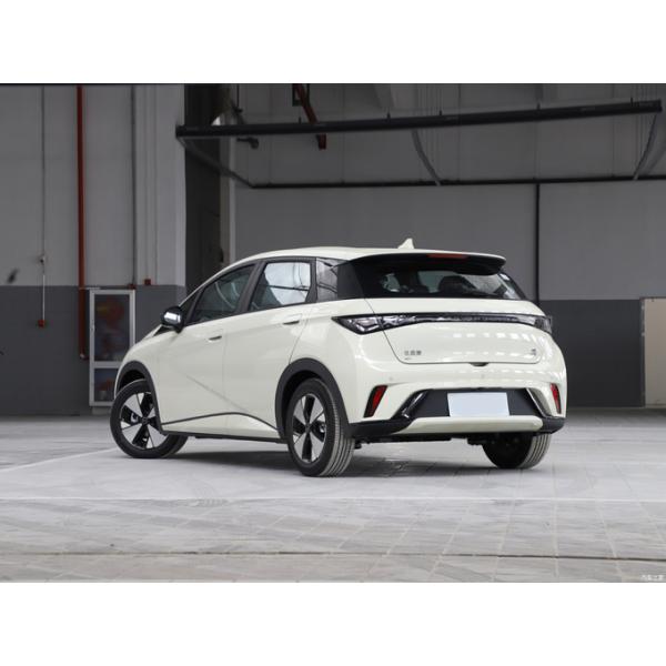 2023 BYD Дельфин Электрический автомобиль 420 км Бесплатная версия Bluetooth подключение