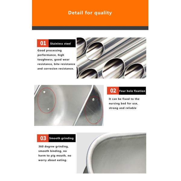 Livestock Feeding Equipment Pig Farm SUS 304 Sow Feeder