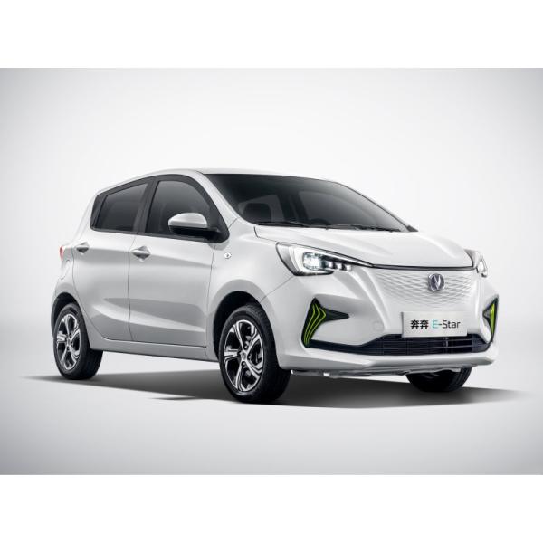 Pure Electric Mini EV Cars Max Speed 101 Km/H Long Range 310KM