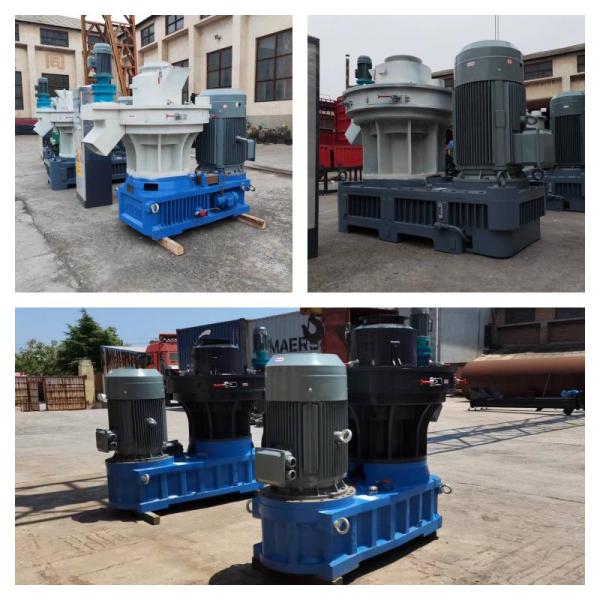 мельница лепешки древесины биотоплива плашки кольца 1t/H для ненужный деревянный окомкователь