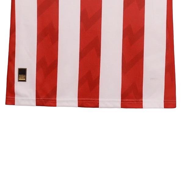 PSV Eindhoven 2025-2026 new season fan version home jersey customized support group printing number