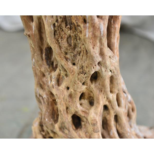 300CM 10FT Artificial Olive Tree Indoor Home Hotel Indoors Restaurant Cafe Restaurants Hotels Interior Olive Tree