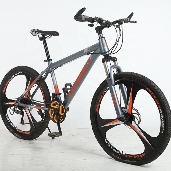 Customizable 29 Inch Bicicletr Mountain Bike with Comfortable Handlebar Grip and OEM Cycle