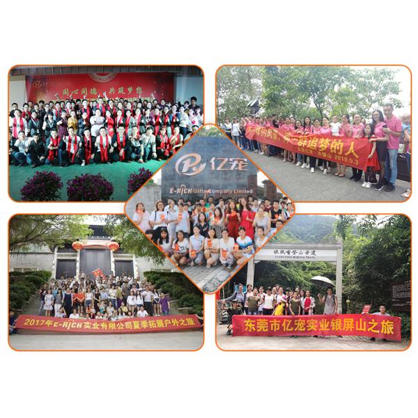 Изготовленное на заказ роскошное руководство проводки собаки логотипа установило зеленый Retractable поводок собаки